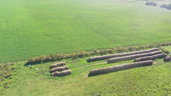 Establecimiento agrícola - ganadero de 300 hectáreas